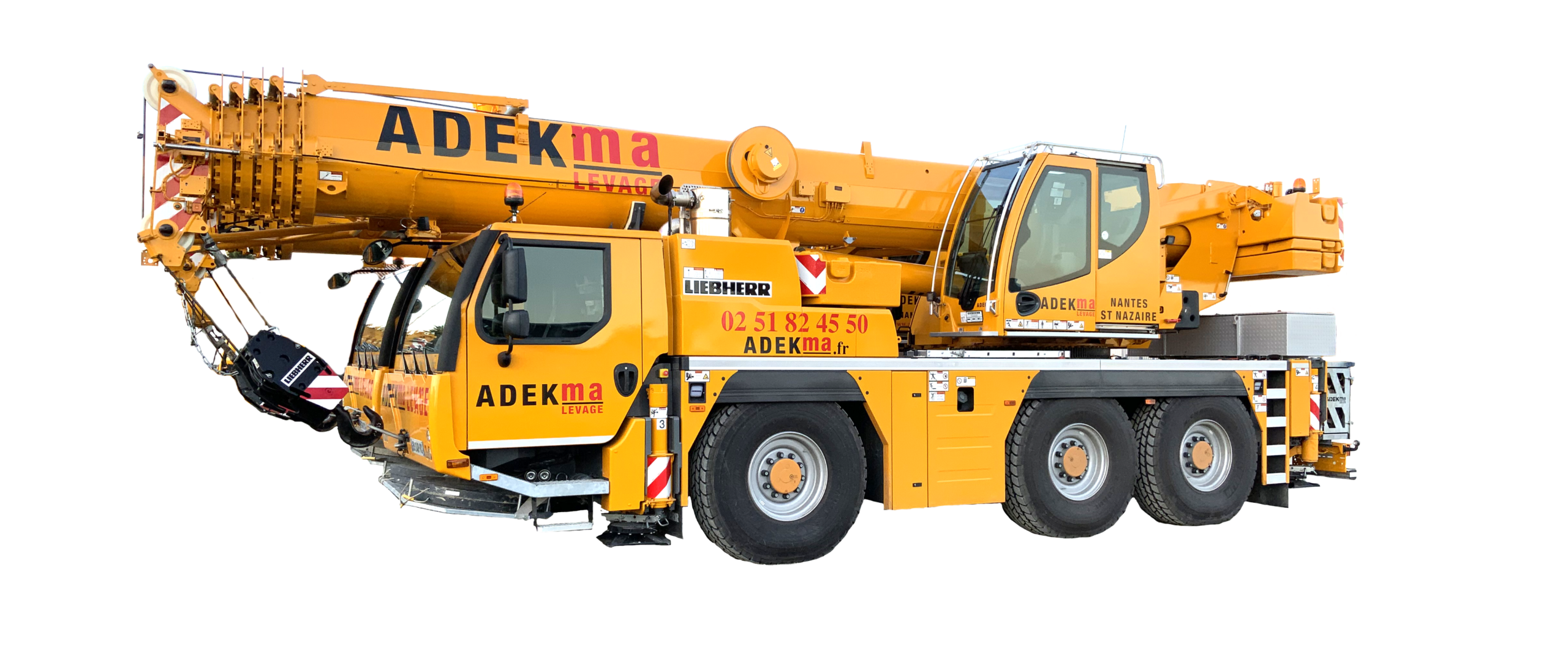 moyen_grue-1